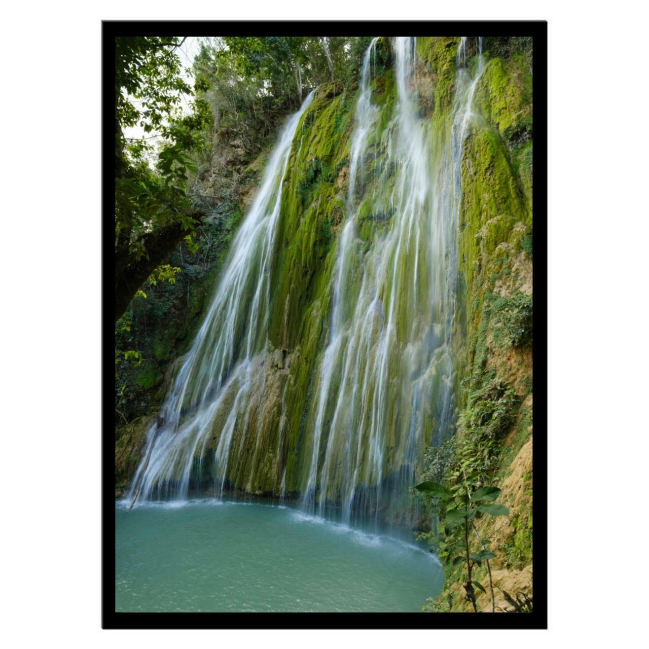 تابلو عکس منظره و طبیعت کد 2853