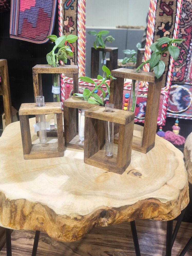 گلدون پتوس پک پنج تایی چوب گردو کد 32